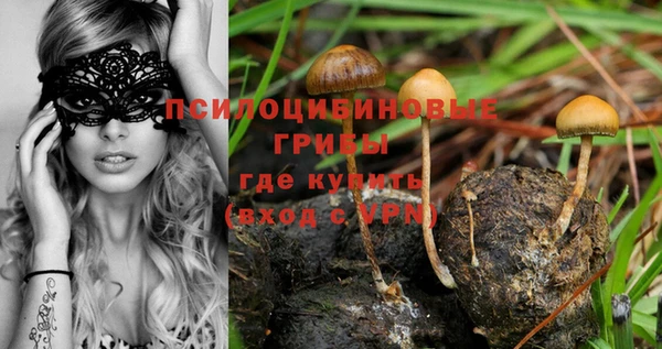амф Володарск