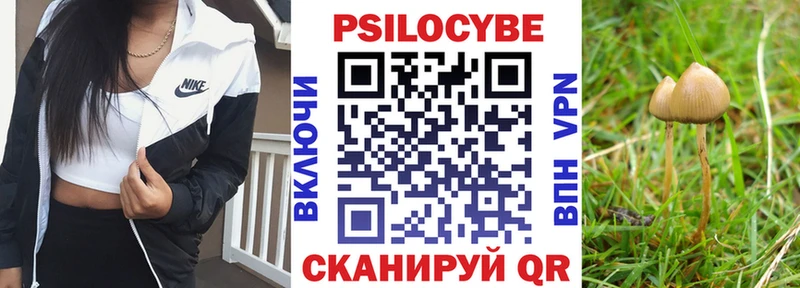 Купить  Кизилюрт  Псилоцибиновые грибы Magic Shrooms 